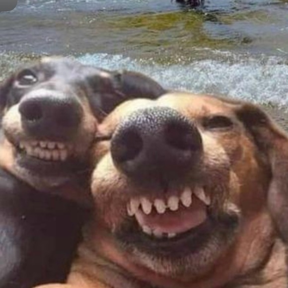 Chico’s Open front Jacket gold metal embellished (Med) 2 suede feel LIKE NEW - Picture 12 of 12